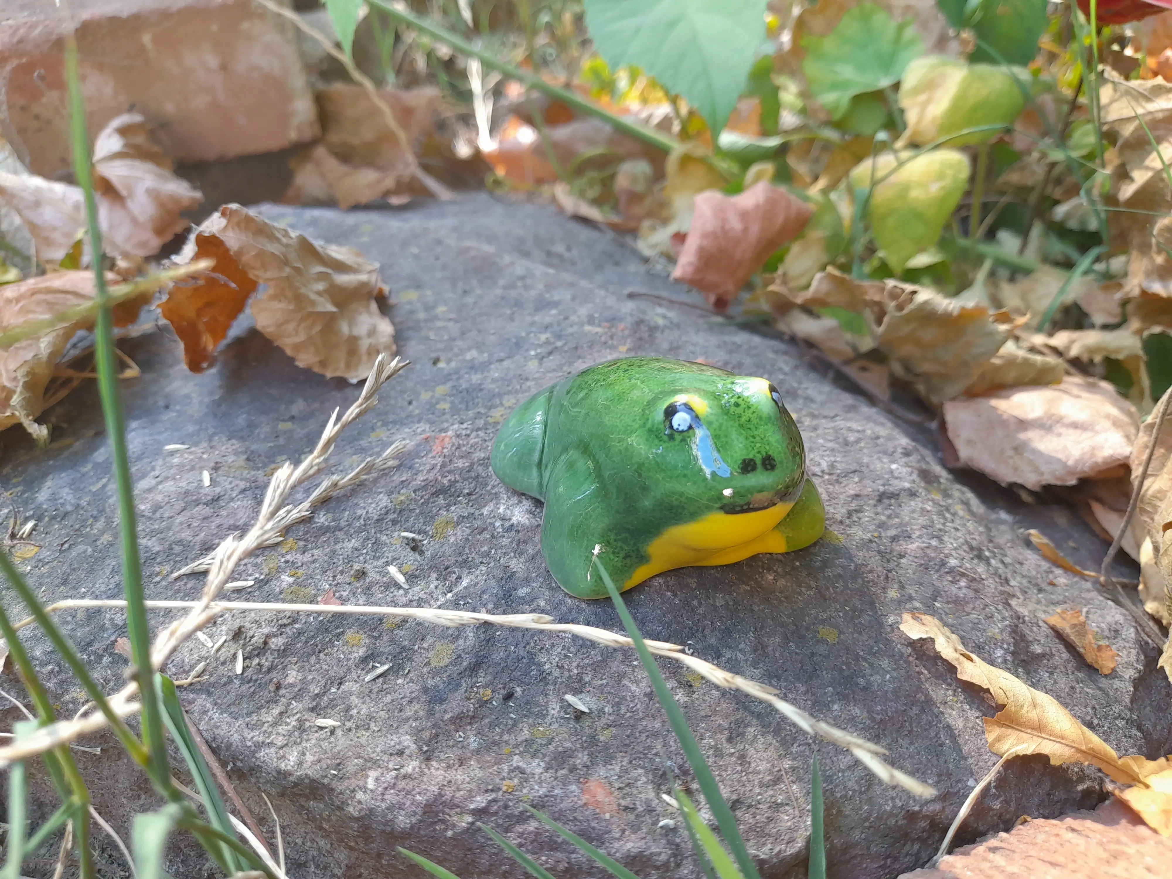 Mini béka