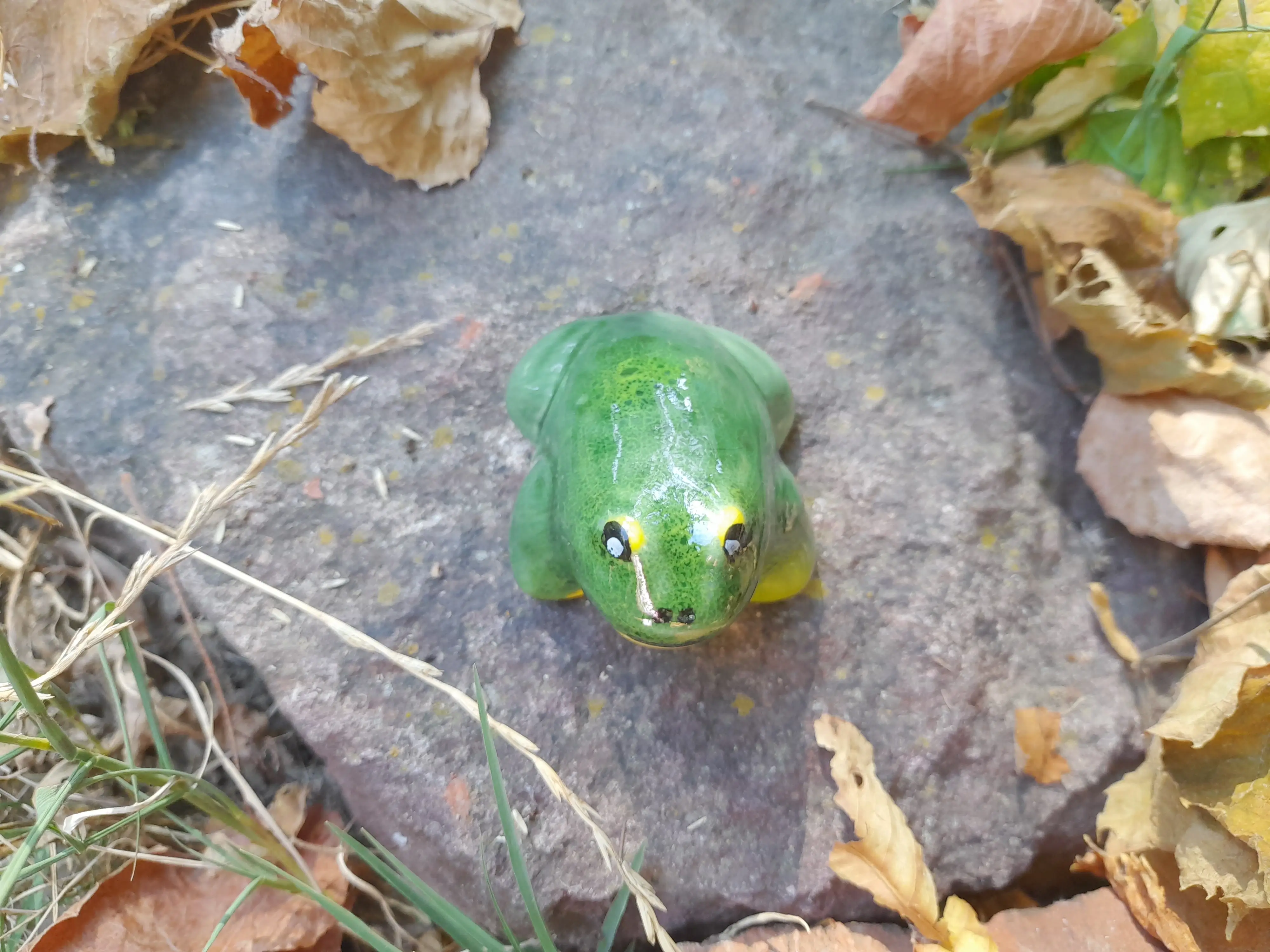 Mini béka