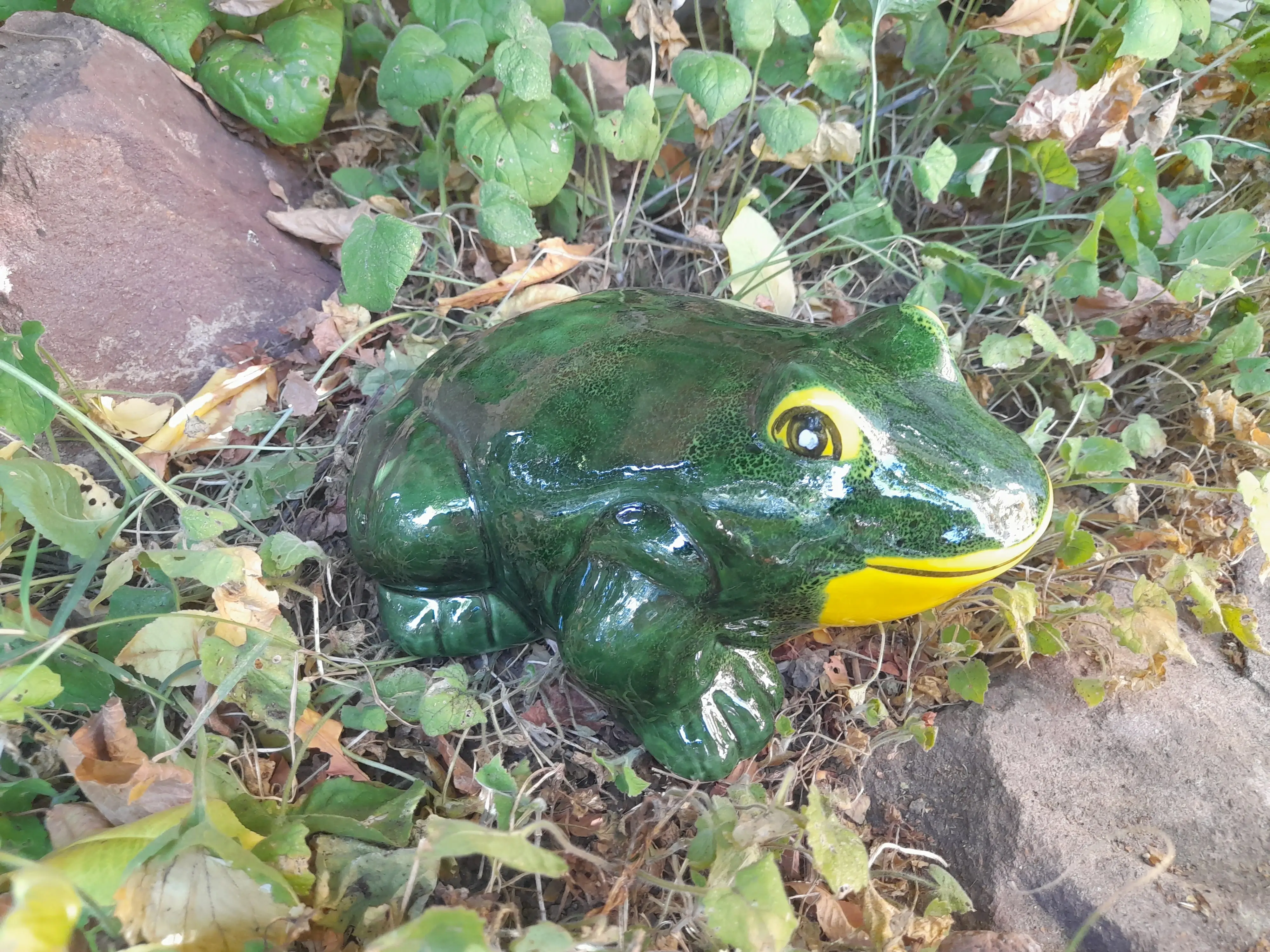 Nagy béka