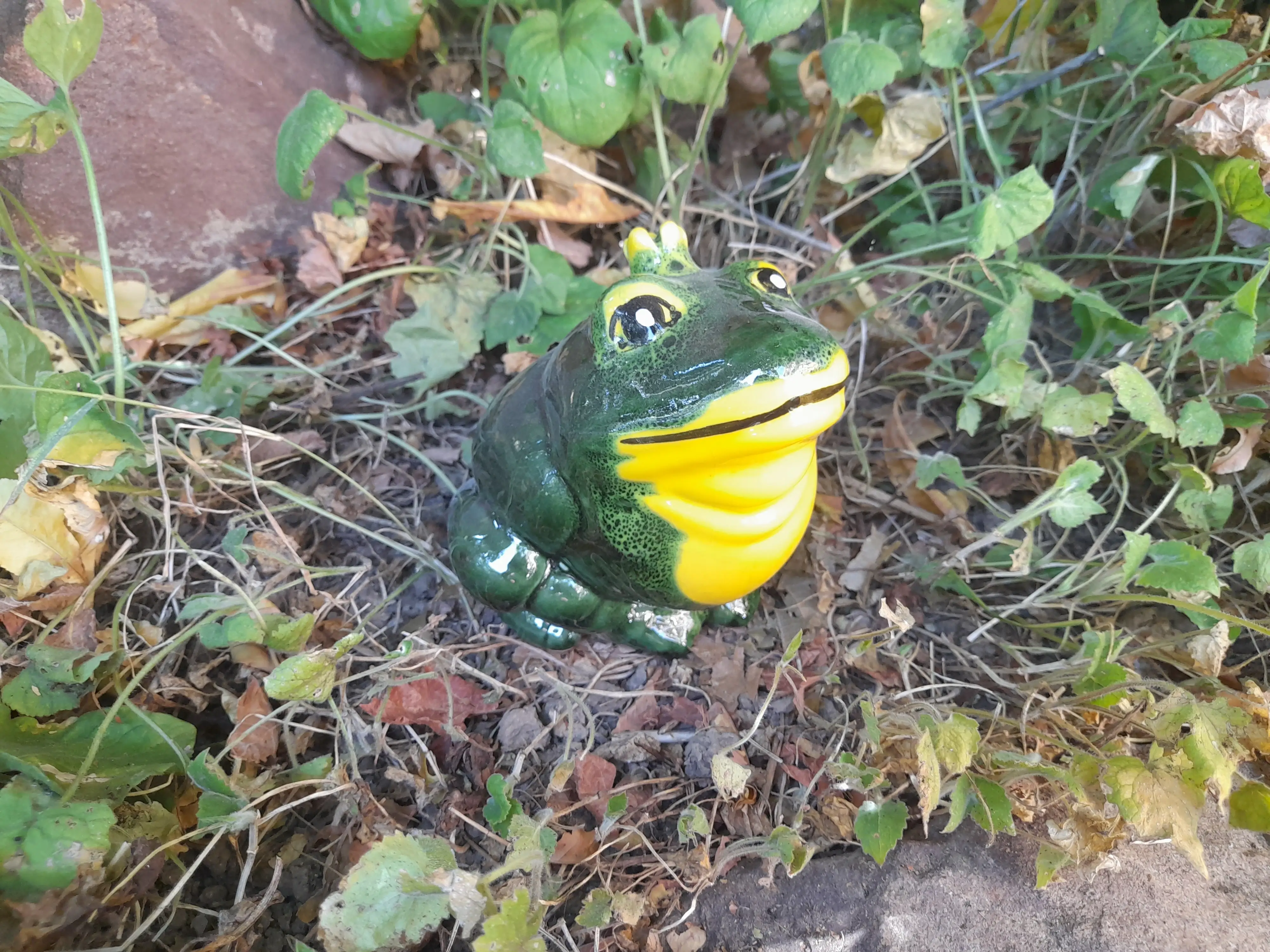 Pufi béka