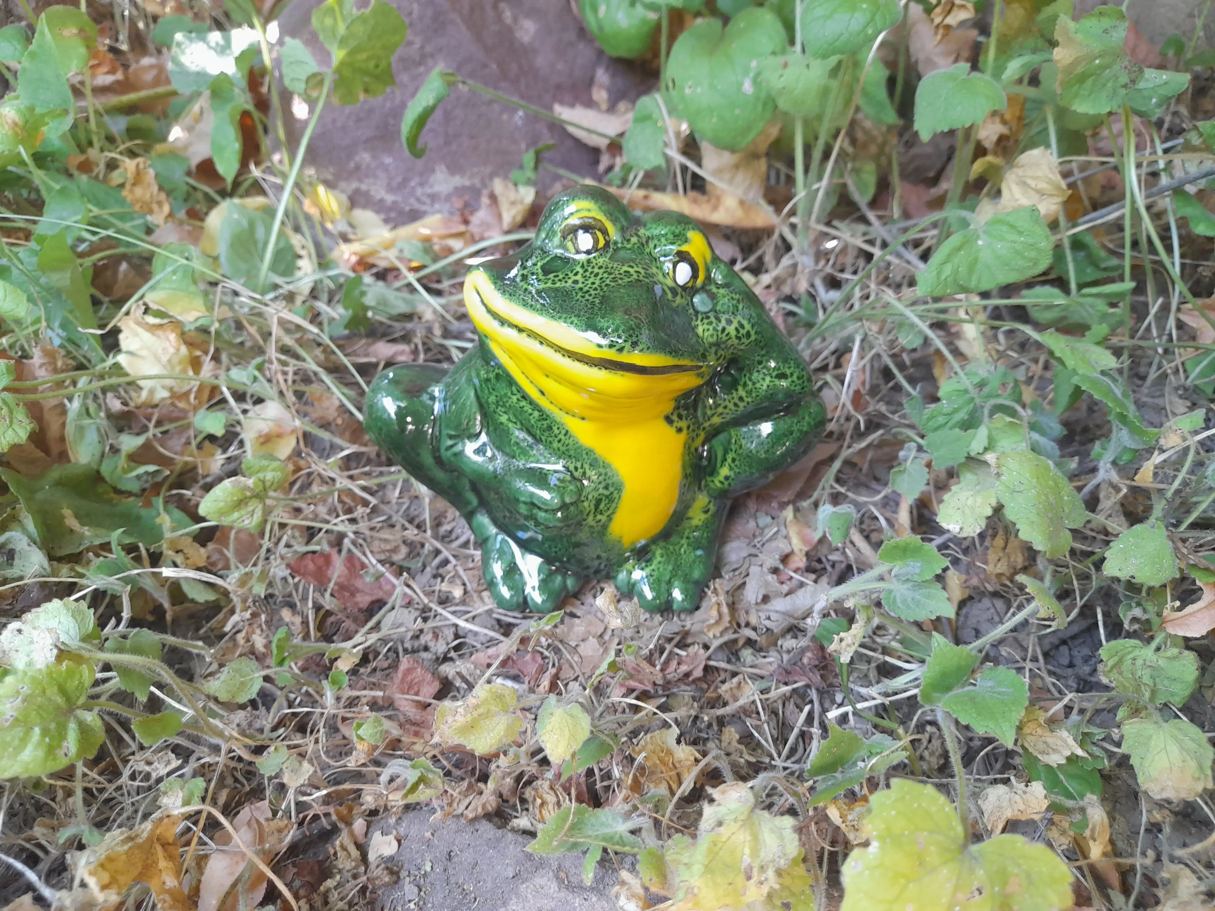 Gondolkodó béka