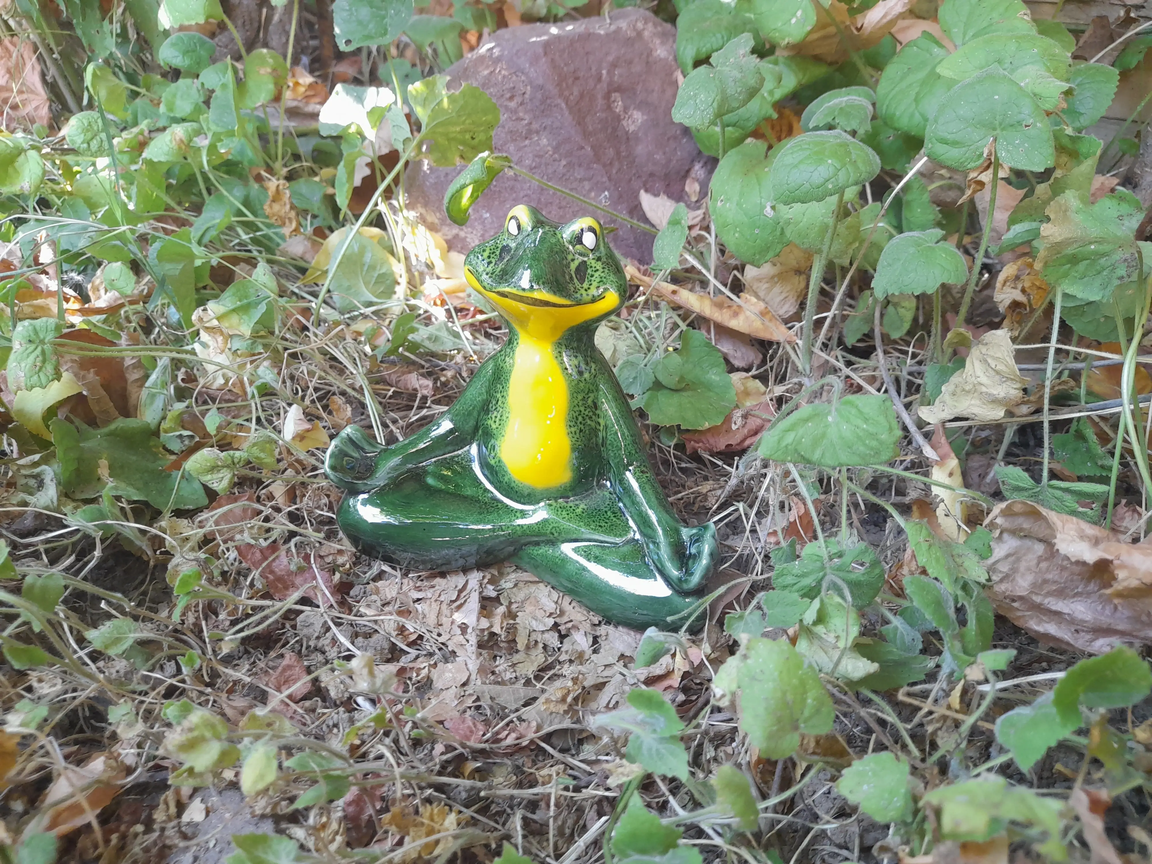 Kis meditáló béka