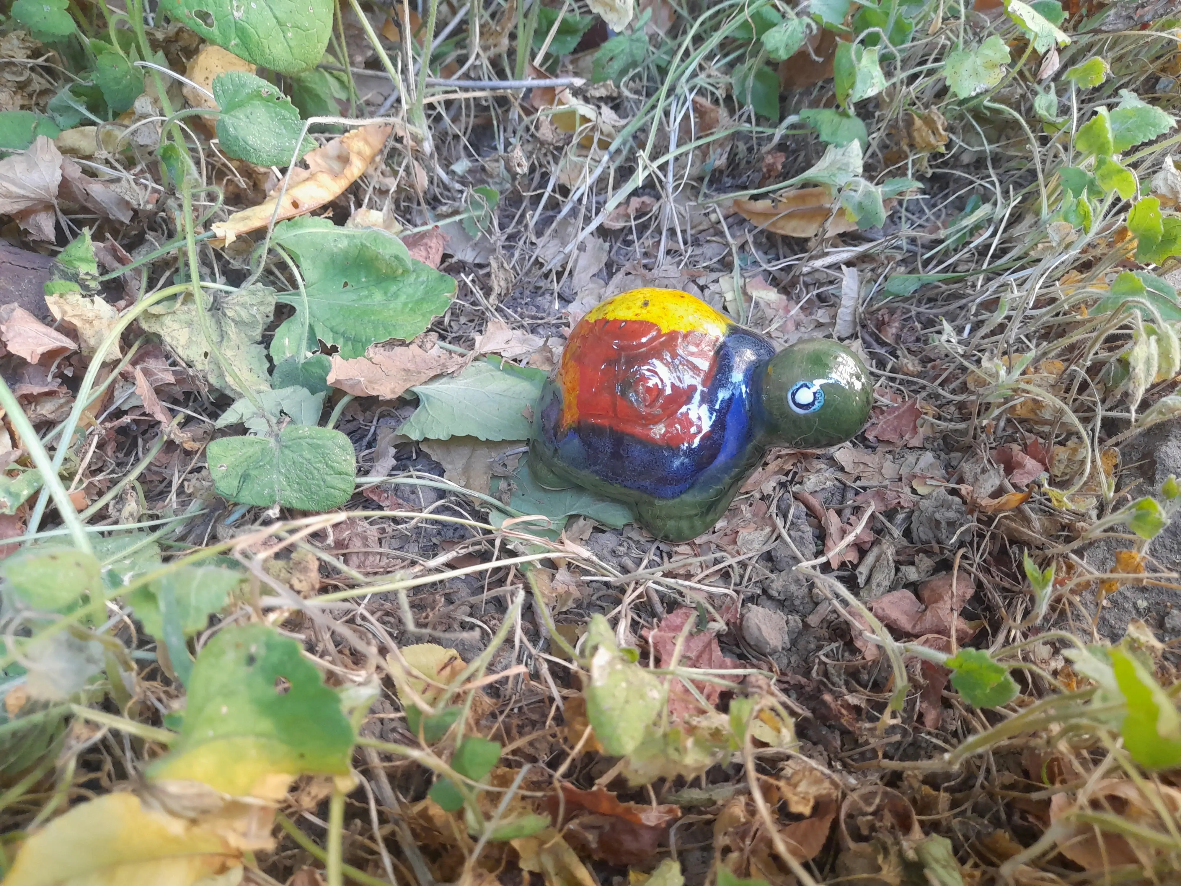 Kettes teknős