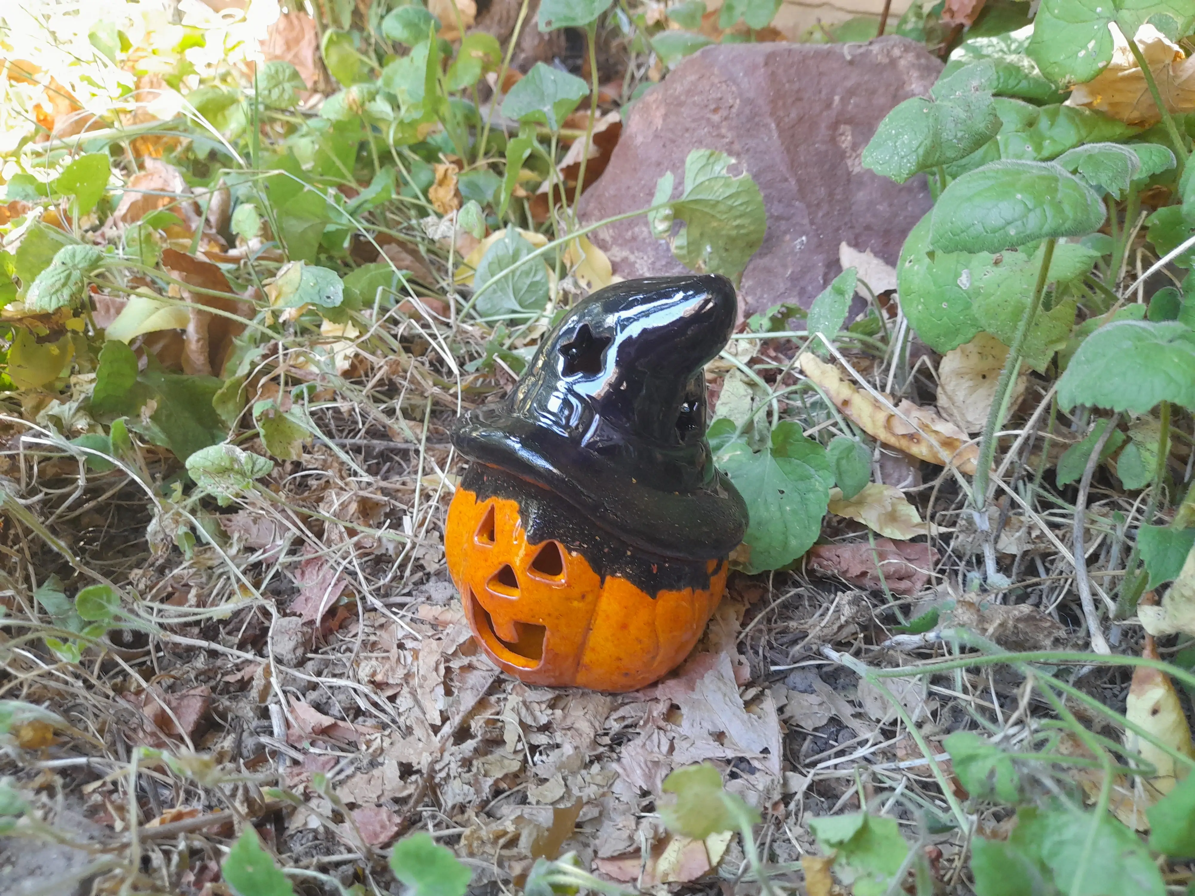  Kalapos tök, kicsi