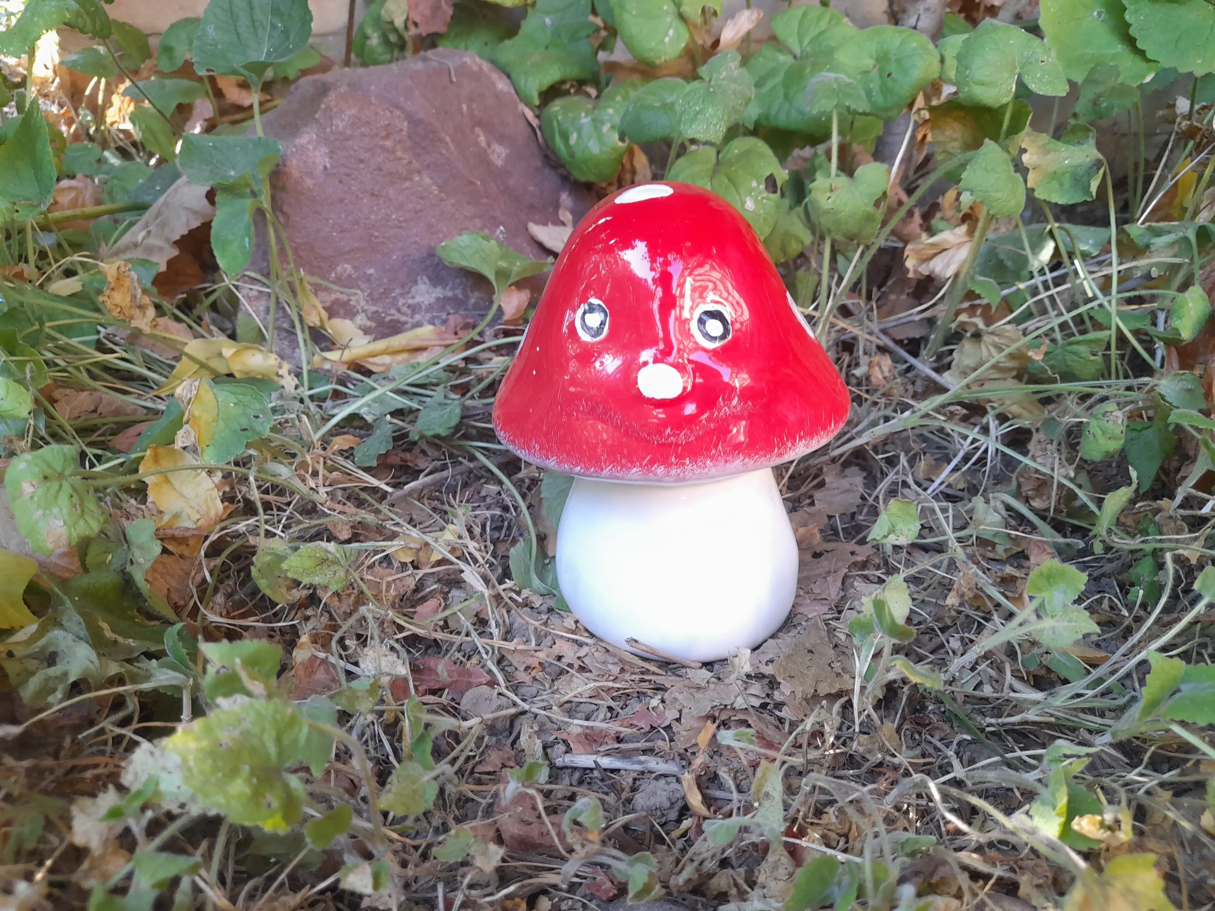 Közepes gomba