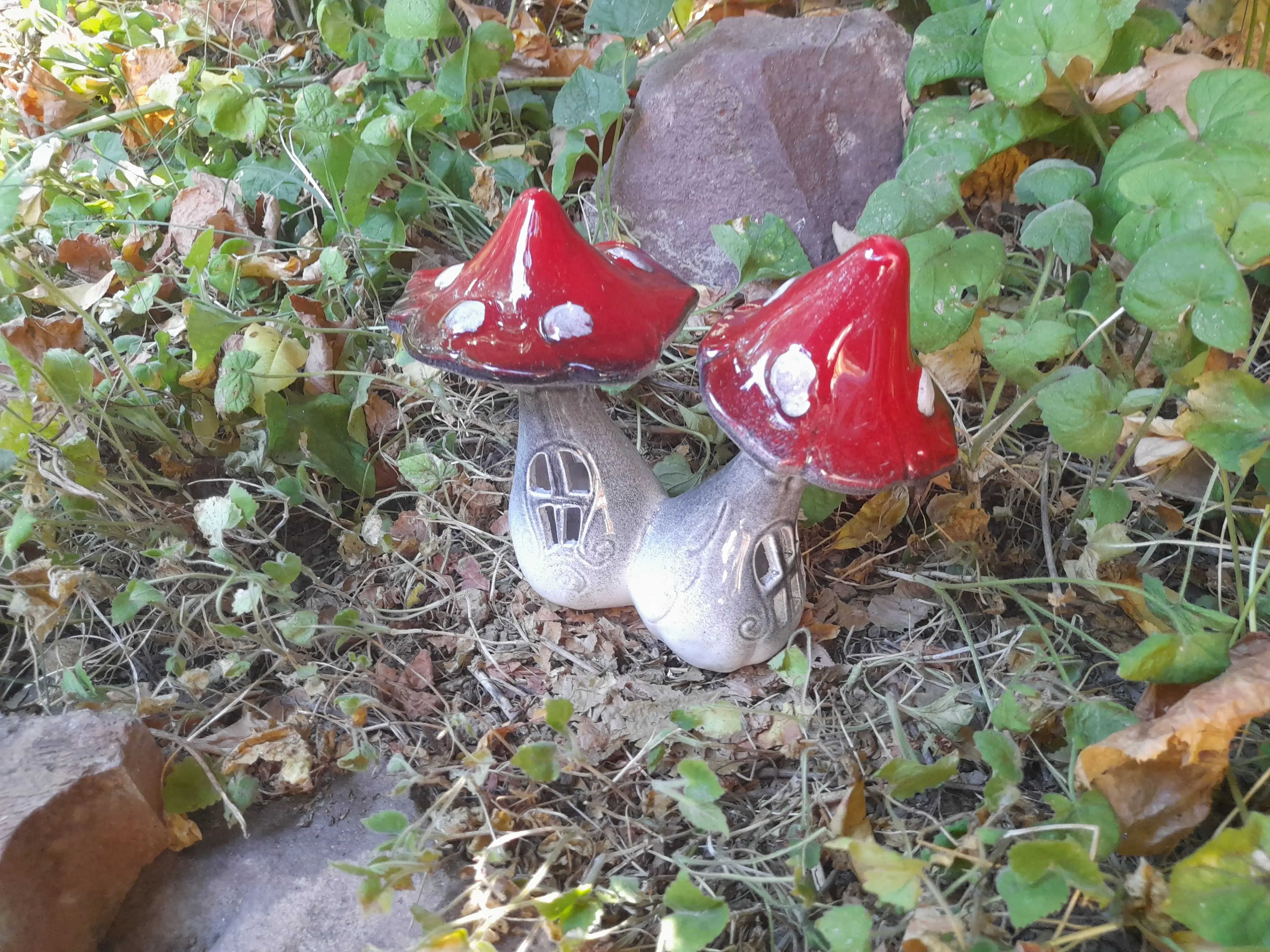 Kis ablakos gomba (kettes)