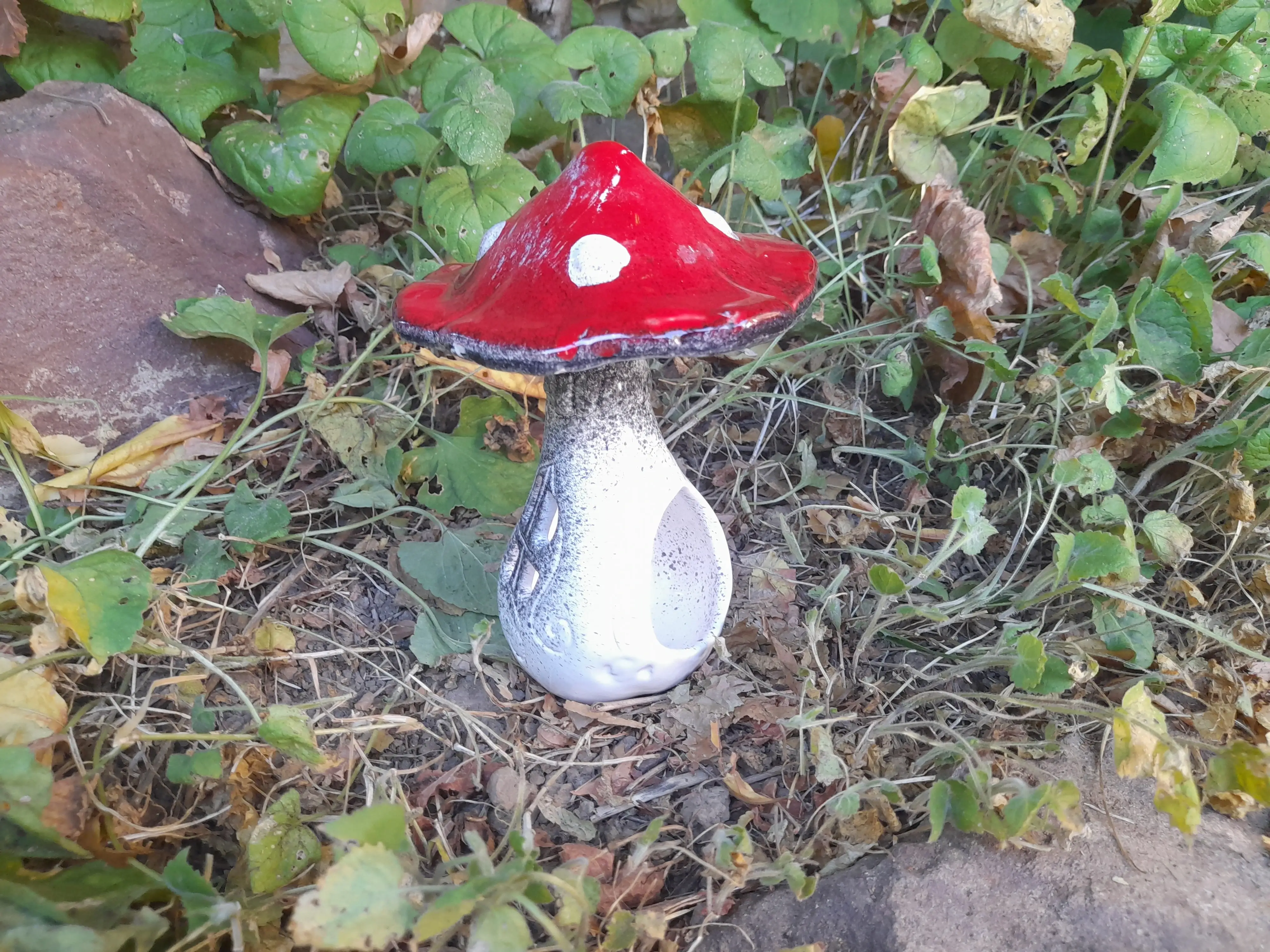 Közepes ablakos gomba (egyes)