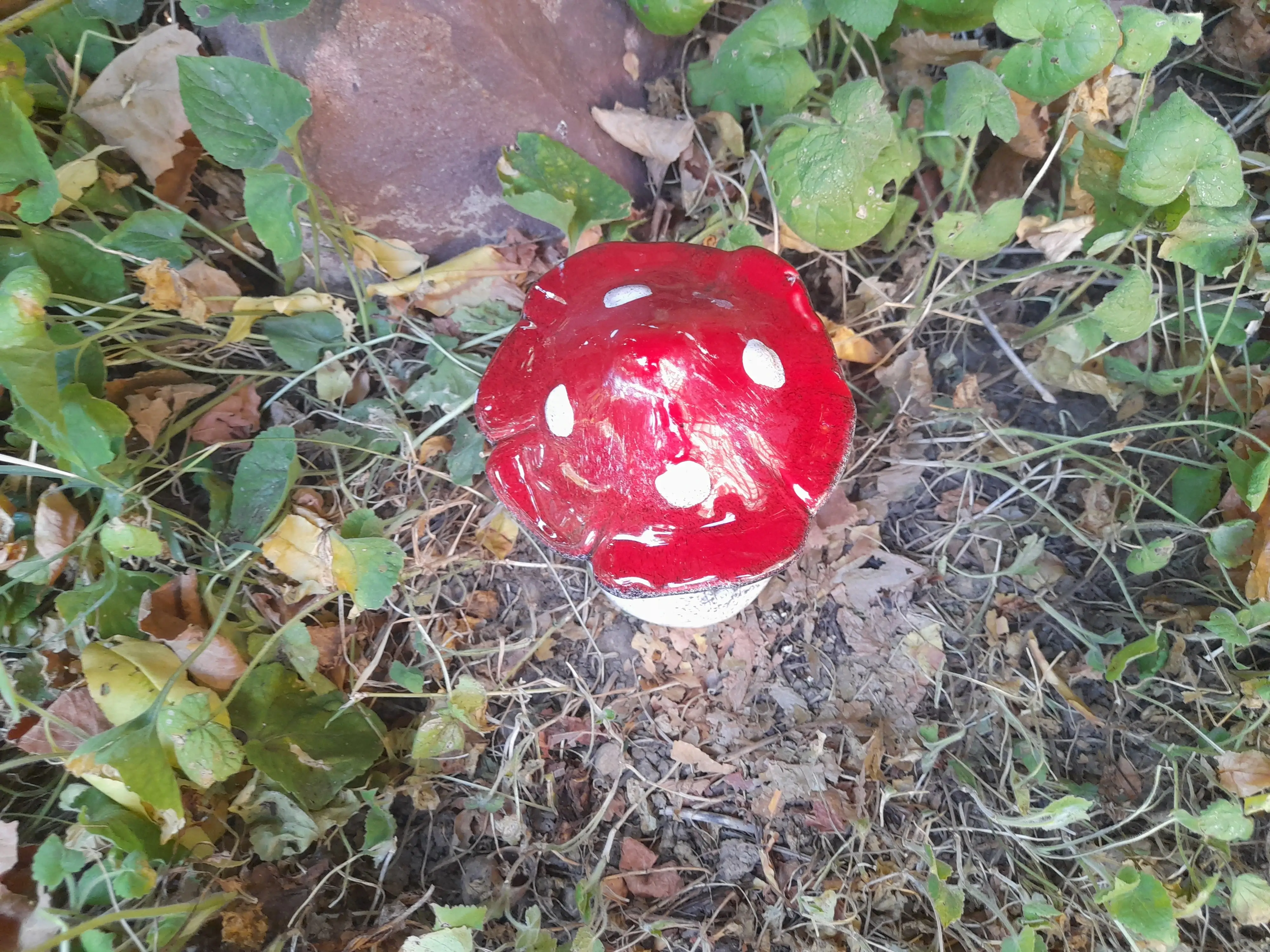 Közepes ablakos gomba (egyes)