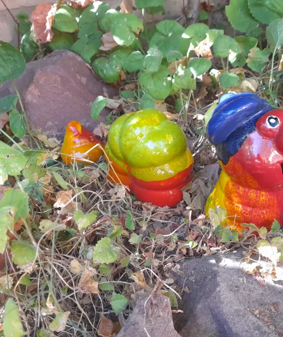 Kis darabos kukac