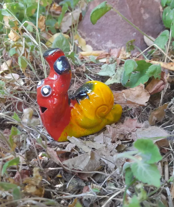Mini Csiga