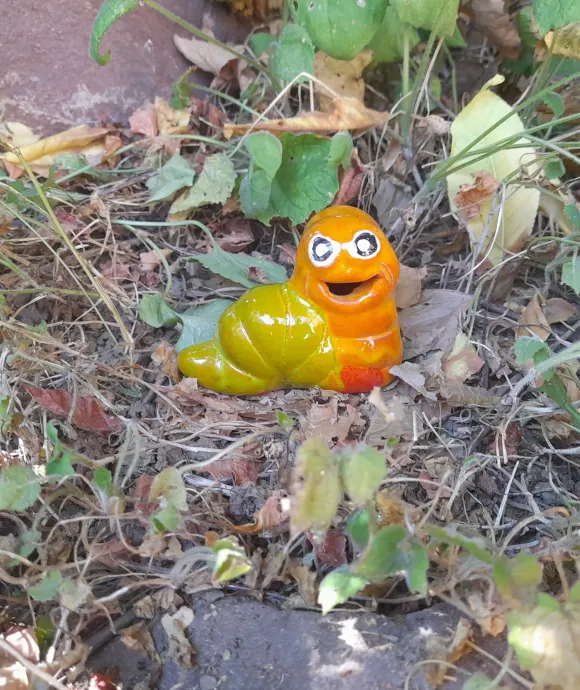 Mini kukac