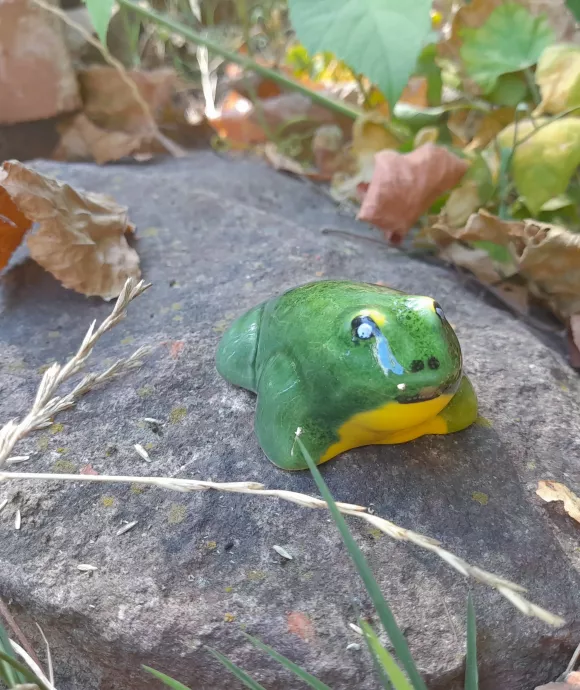 Mini béka