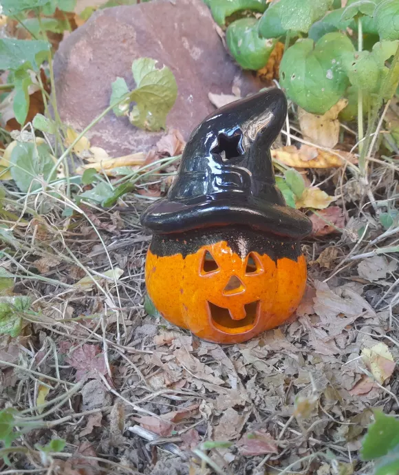  Kalapos tök, kicsi