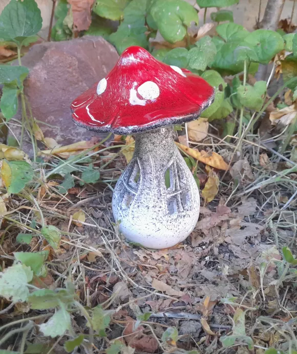 Közepes ablakos gomba (egyes)